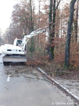 Izvajanje obrezovanja drevja in vejevja ob občinskih cestah 2